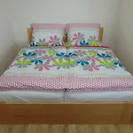 Appartamento - Ratiborice Hořičky
