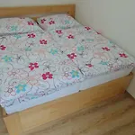 - Ratiborice
