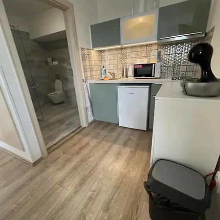 아파트 Vila Horicky *