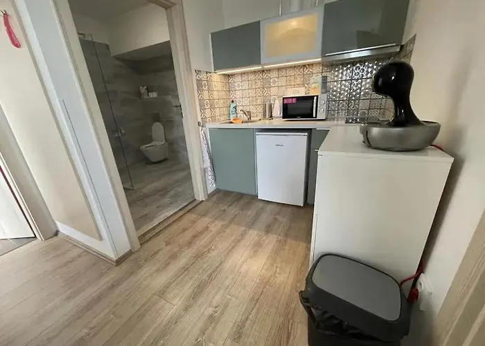 Apartament Vila Horicky *