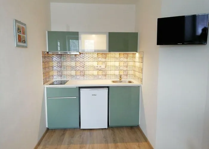 Vila Horicky Apartament