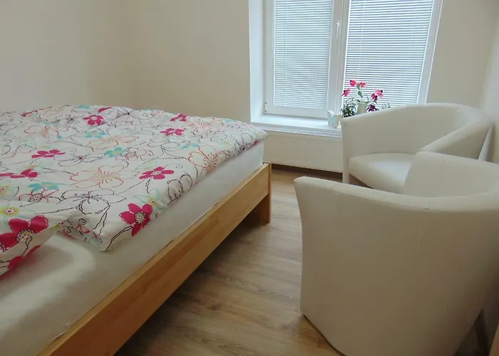 Apartament Vila Horicky *