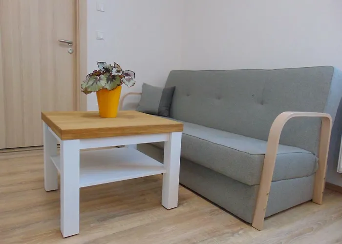 Vila Horicky Apartament