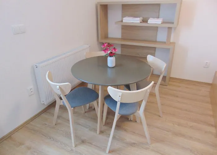 Vila Horicky Apartament