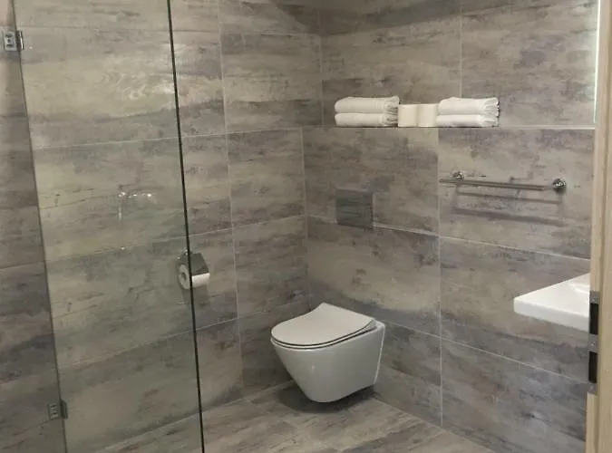 Vila Horicky Apartament *