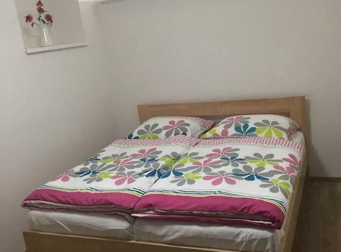 Apartament Vila Horicky Hořičky